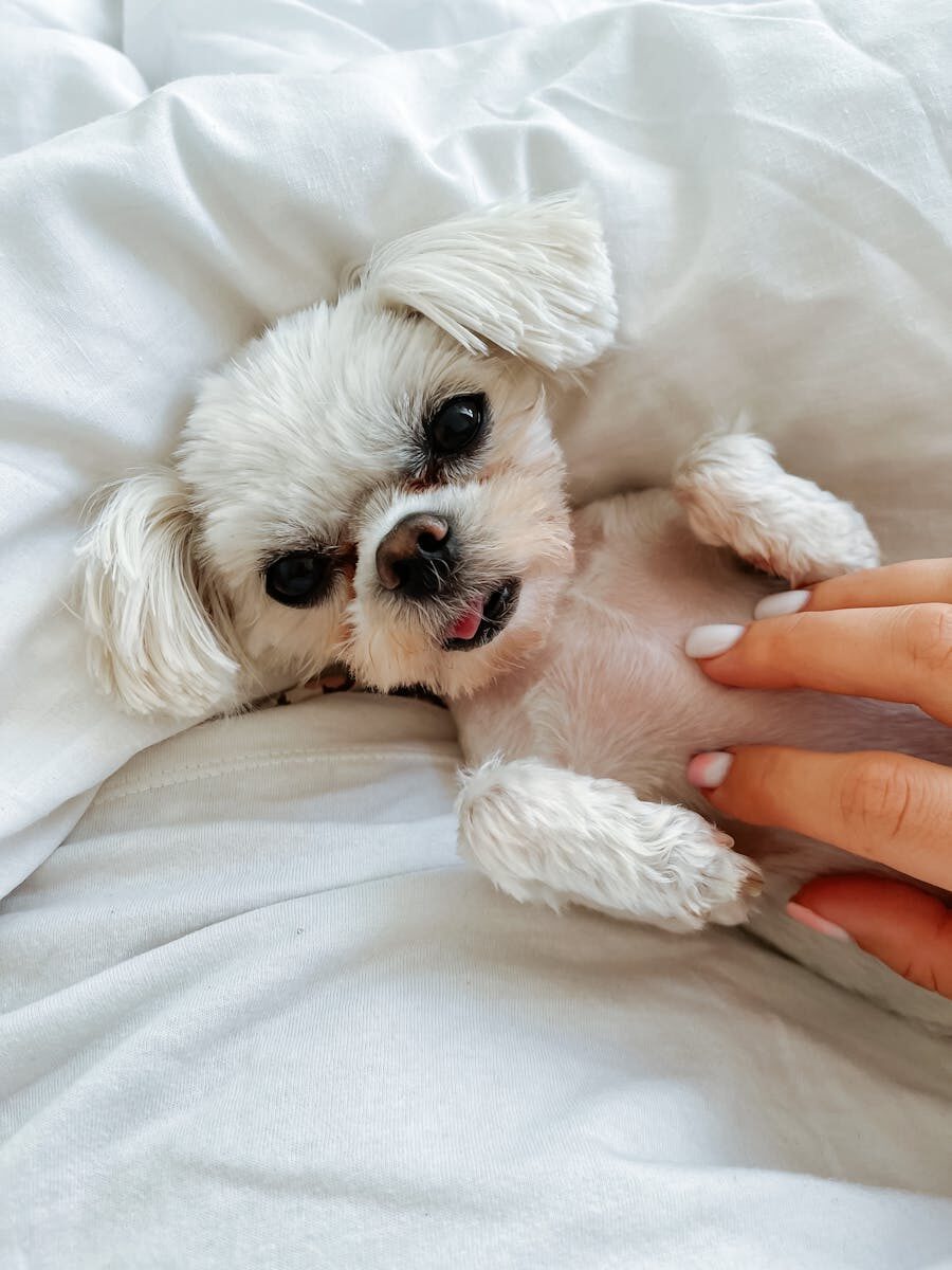 On Call Time in Public Sector